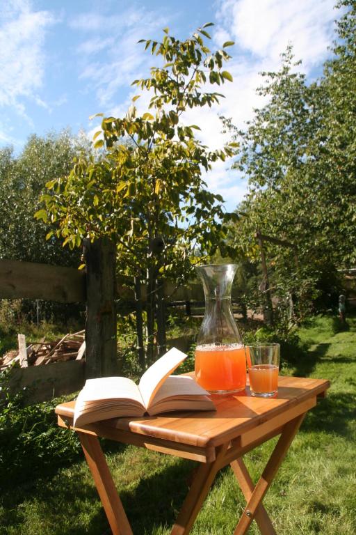 a wooden table with a book and a vase of orange juice at Pension Müllers Mühle in Großenhain
