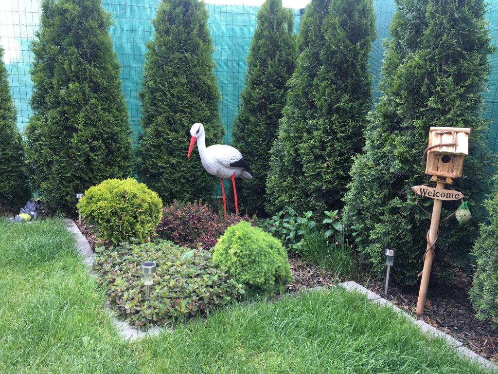 Zahrada ubytování Apartmán Tatry-Poprad