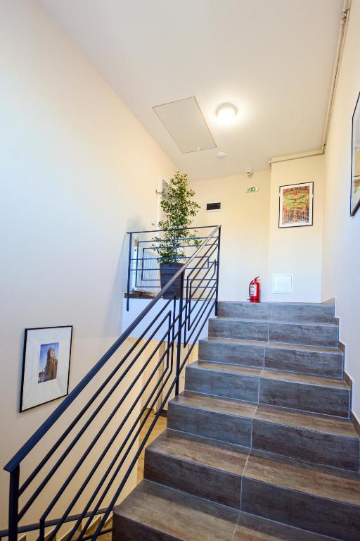 Mandarin Premium Apartments - 