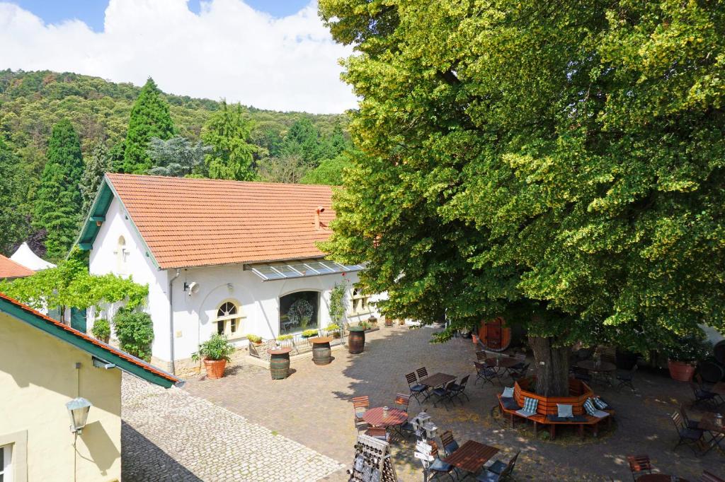 Příroda nedaleko hotelu