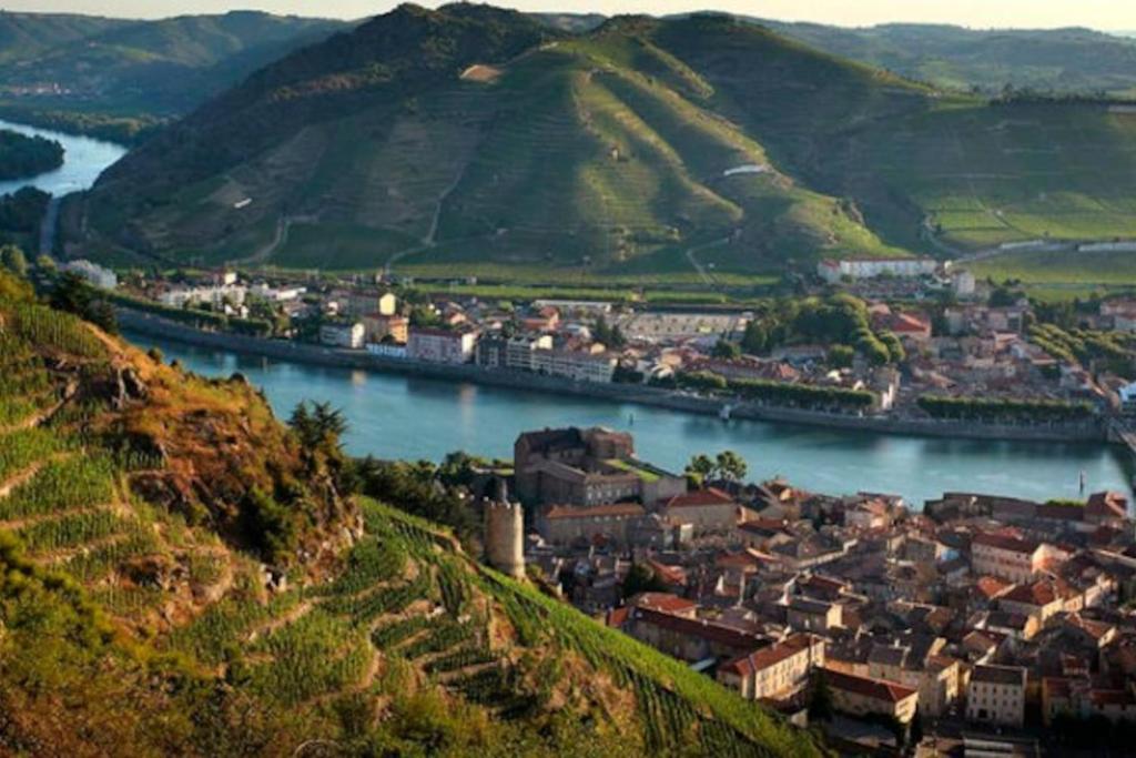 a town on a hill next to a river at CHARMANT PETIT F1 in Tain-lʼHermitage