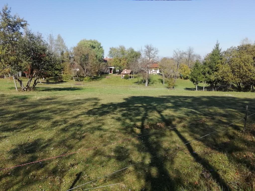 Przyroda w pobliżu tego pensjonatu
