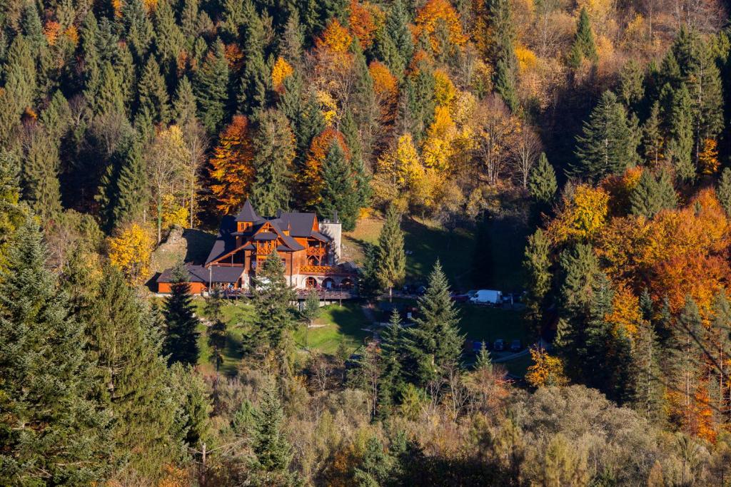 a house in the middle of a forest at Schronisko PTTK Orlica in Szczawnica