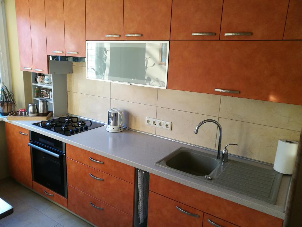 Virtuvė arba virtuvėlė apgyvendinimo įstaigoje Viktorijos apartamentai