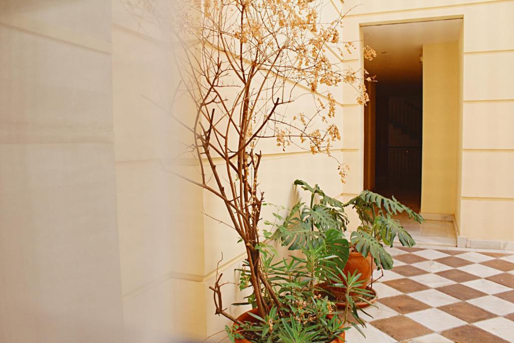 Zahrada ubytování WISH SUITE SAN LUIS DE SEVILLA