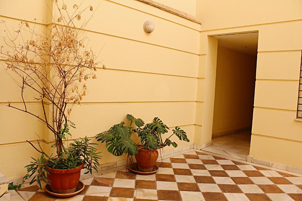 Fotografie z fotogalerie ubytování WISH SUITE SAN LUIS DE SEVILLA v destinaci Seville