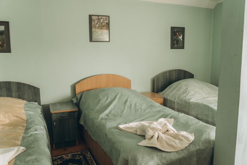 Postel nebo postele na pokoji v ubytování Турянська долина