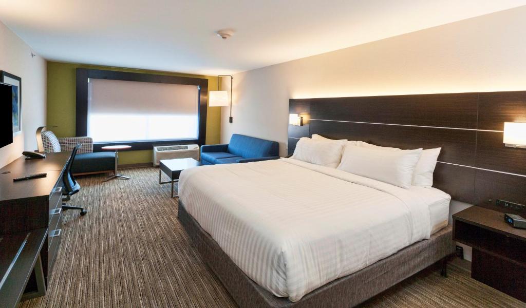 Holiday Inn Express & Suites - Dodge City by IHG - Suite King