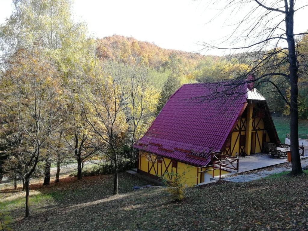 Příroda nedaleko penzionu