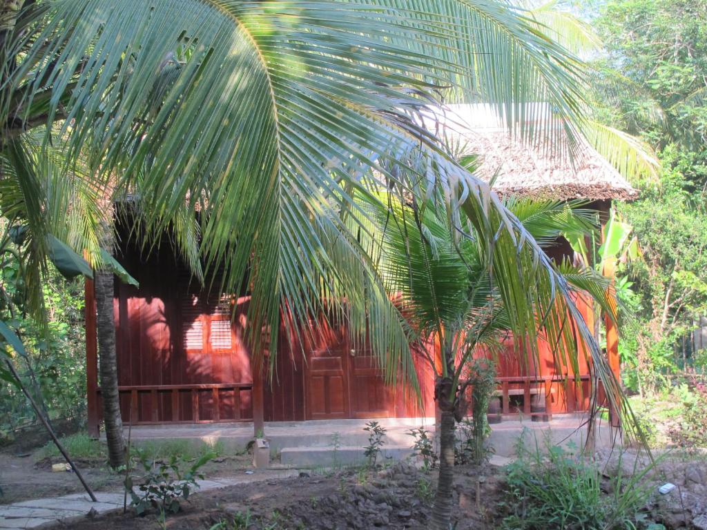 Ben Tre的住宿－Homestay Xóm Dừa Nước，前面有棕榈树的房子