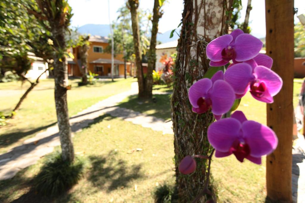  POUSADA DAS ORQUIDEAS20