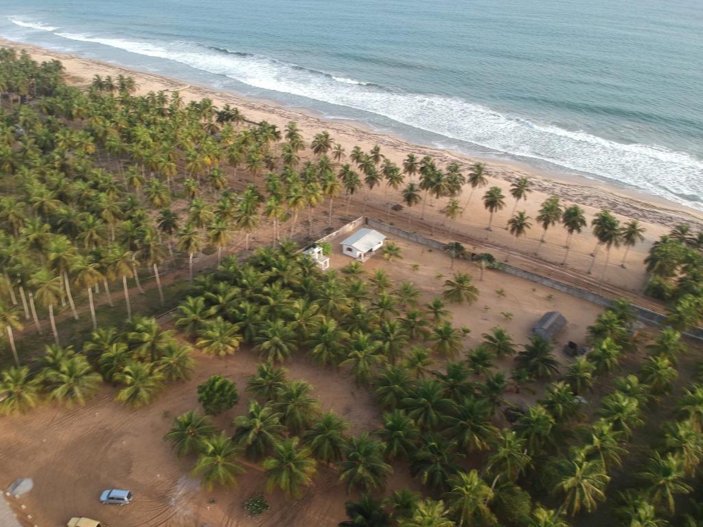 una vista aerea di una spiaggia con palme di L'elephant blanc a Grand-Bassam