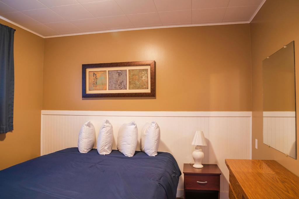 Postel nebo postele na pokoji v ubytování Lakeview Motel