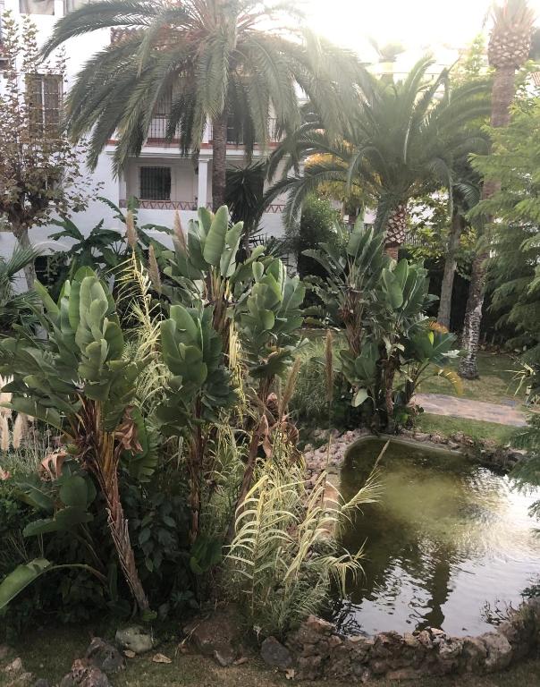Vonkajšia záhrada v ubytovaní M&J Benalmadena Retreat