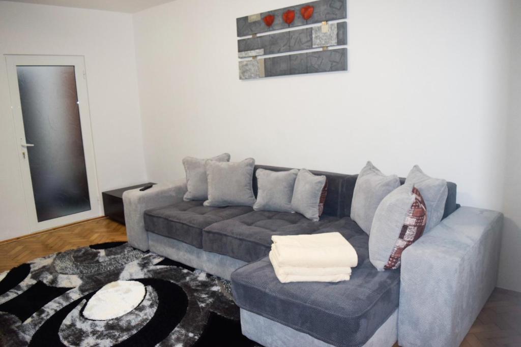 sala de estar con sofá gris y alfombra en Sunrise, en Alba Iulia