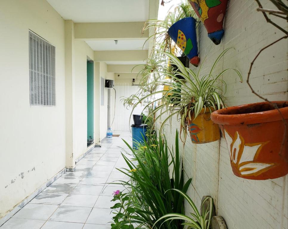  Solar Teixeira Residencial