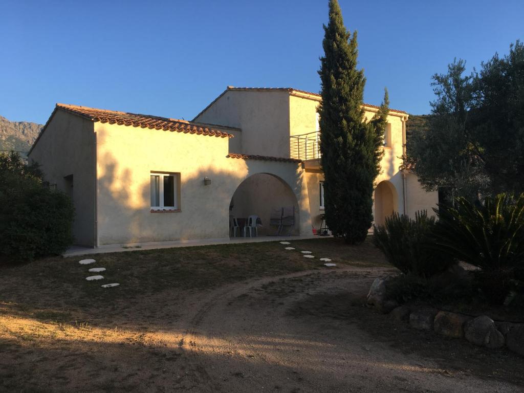 une maison blanche avec un arbre en face dans l'établissement Studio Pinzali Avec Mezzanine, à Calenzana