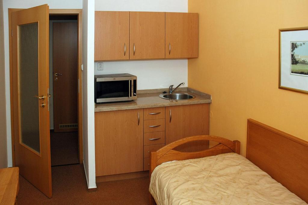 Kuchyň nebo kuchyňský kout v ubytování Hotel Restaurant Modrá Hvězda