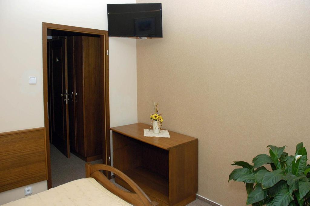 TV a/nebo společenská místnost v ubytování Hotel Restaurant Modrá Hvězda