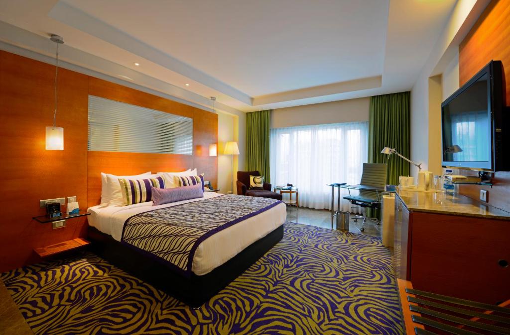 TV a/nebo společenská místnost v ubytování Radisson Blu Hotel Ahmedabad