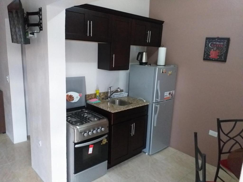 a small kitchen with a stove and a refrigerator at Cozy Studio 2 in Kingston