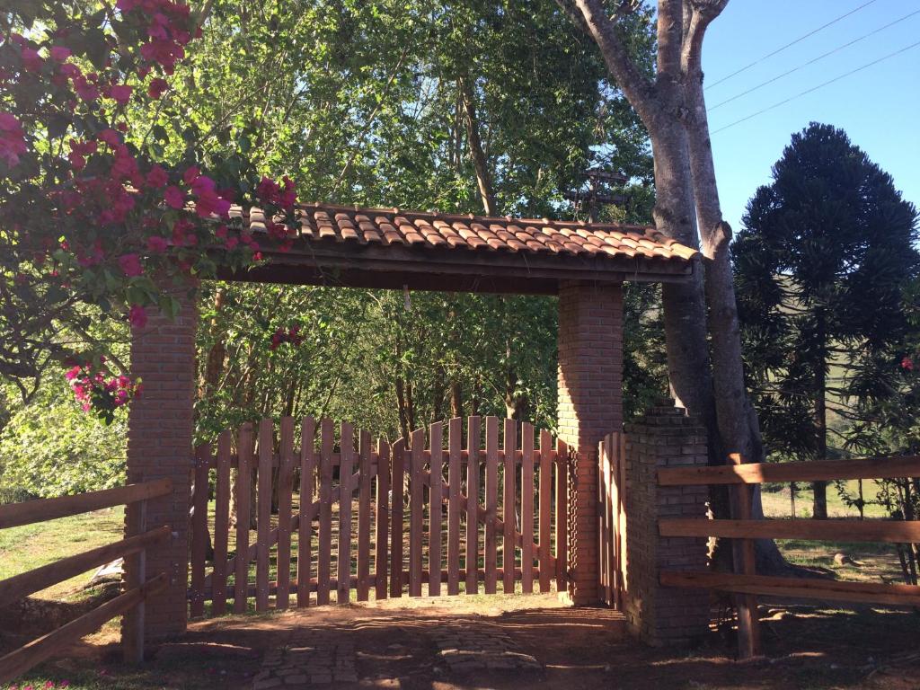  Flores de Cunha
