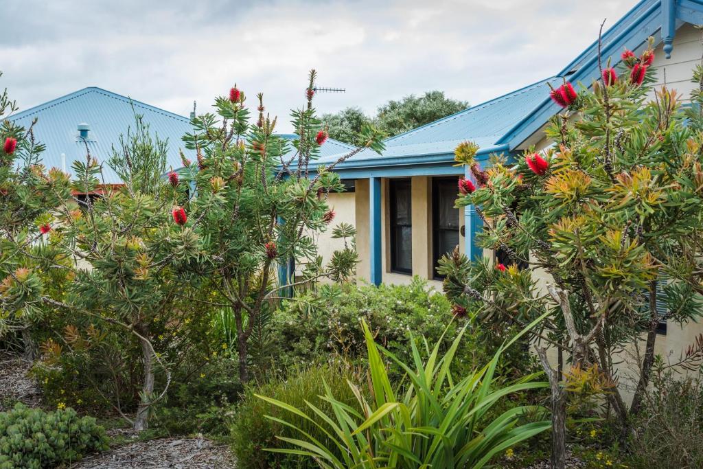 a house with a blue roof and some plants at Banksia at Cosy Corner by the BNB Collection in Albany
