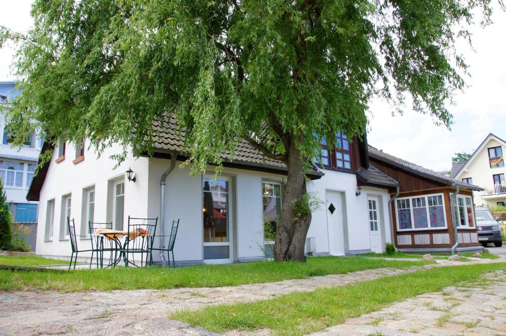 a house with a table and chairs under a tree at Haus Friedrich-Göhren in Göhren