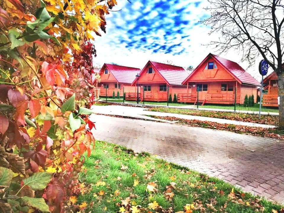 una fila de casas con techos rojos en una calle en Dadaj Summer Camp - całoroczne domki Rukławki en Biskupiec