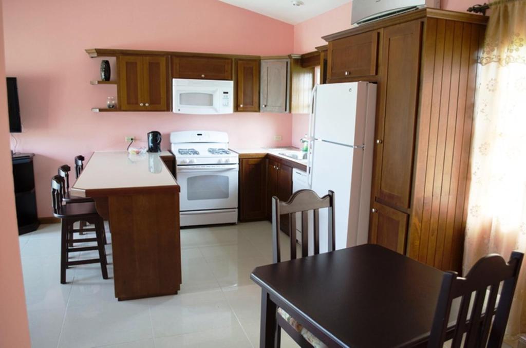 Kuchyň nebo kuchyňský kout v ubytování Piarco Village Suites