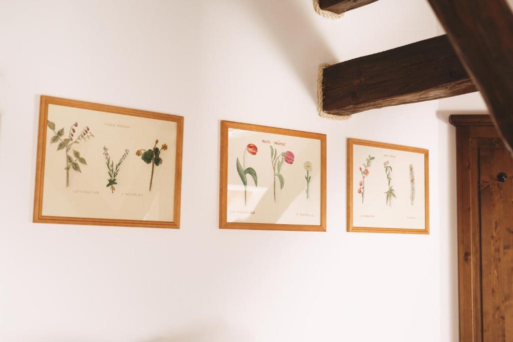 Fotografie z fotogalerie ubytování CHATA MISTRIK v Donovalech