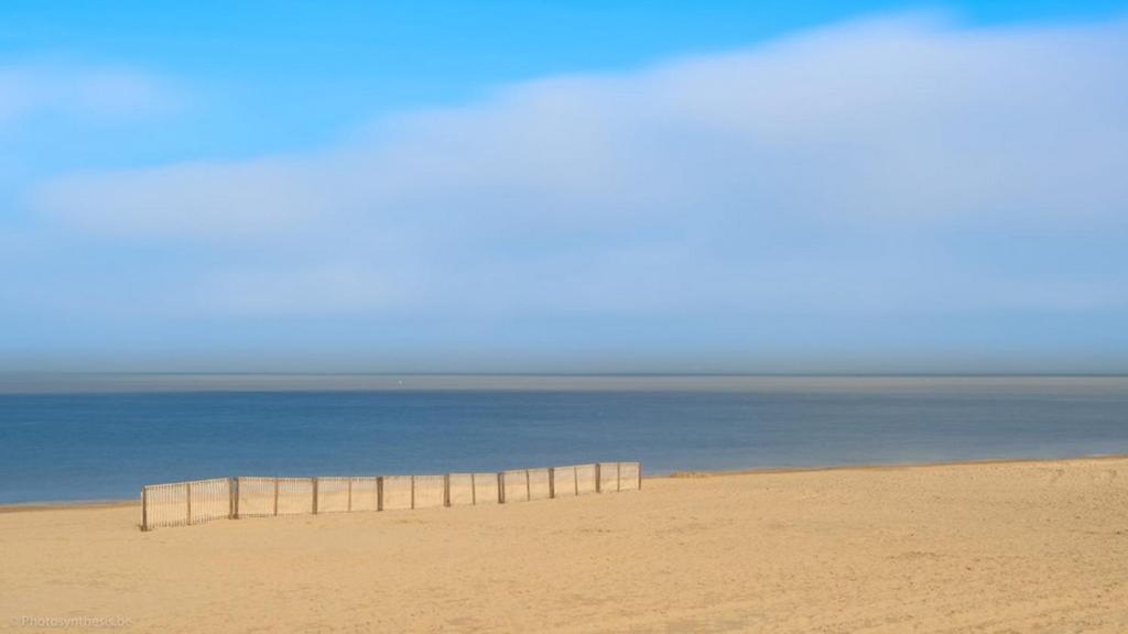 einen Sandstrand mit dem Ozean im Hintergrund in der Unterkunft Strandvakantieappartement Zilverstrand - met binnenzwembad! in De Haan