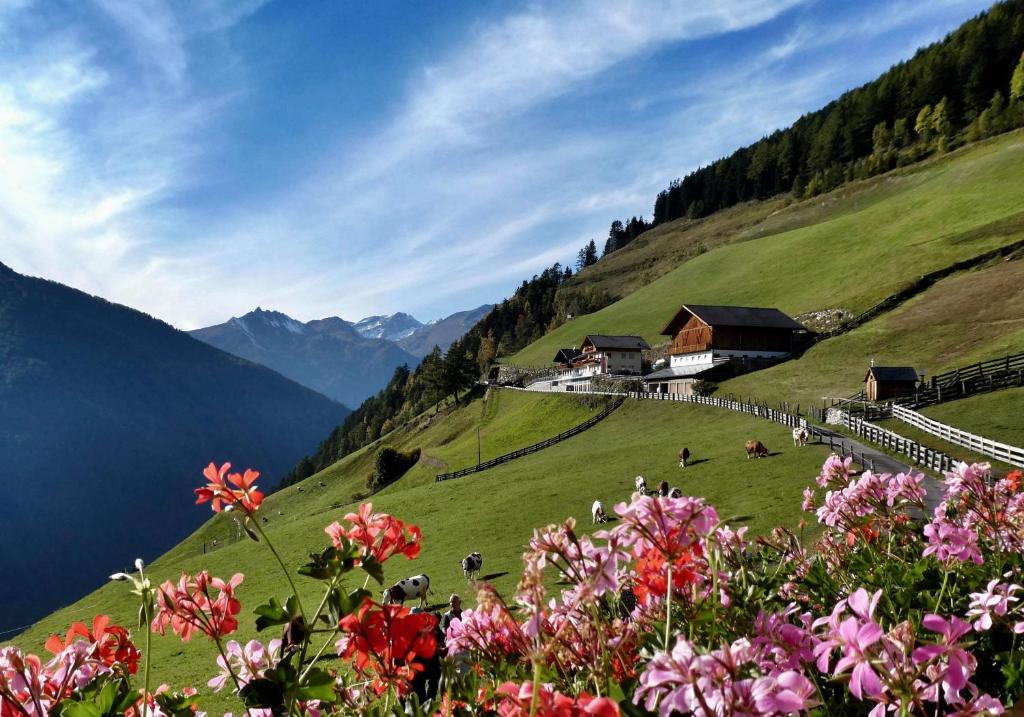 a field of flowers on a hill with a building at Roanerhof in Campo Tures