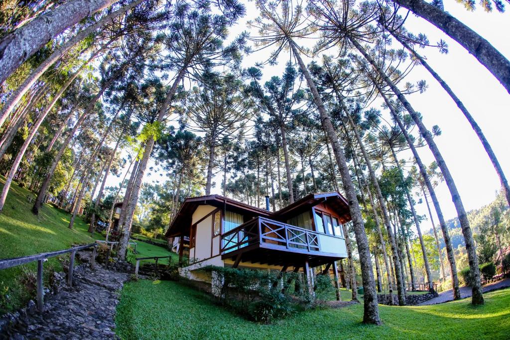 uma casa no meio de uma floresta de palmeiras em Pousada Vida Verde em Gonçalves