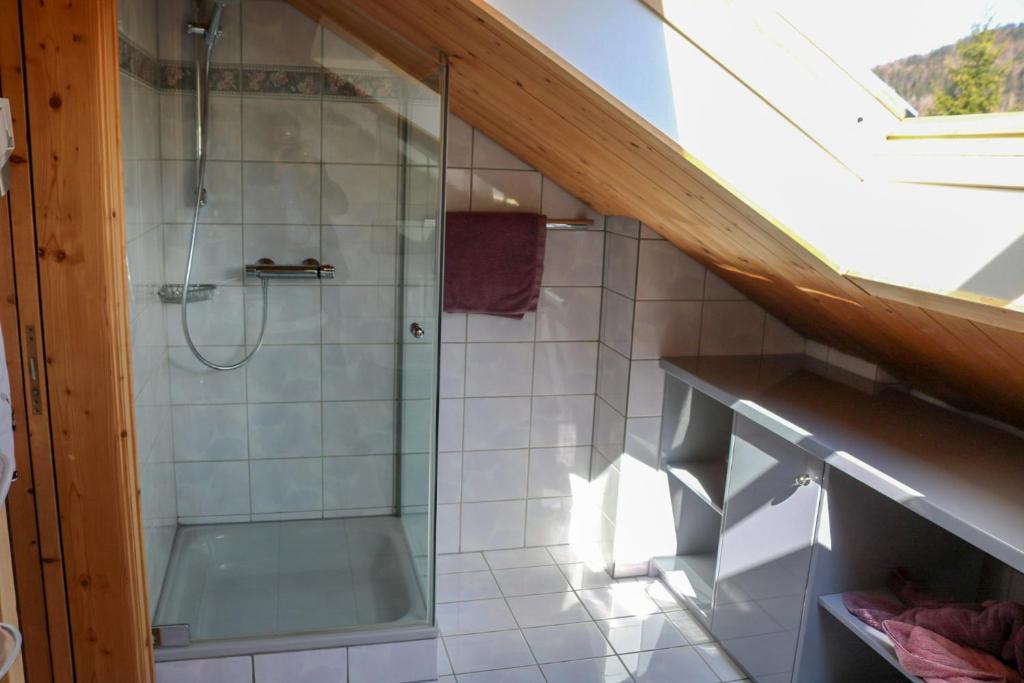 Koupelna v ubytování Appartment Moosbrugger