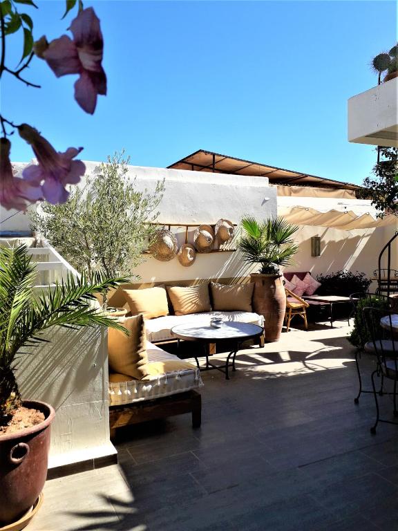 Riad Safina