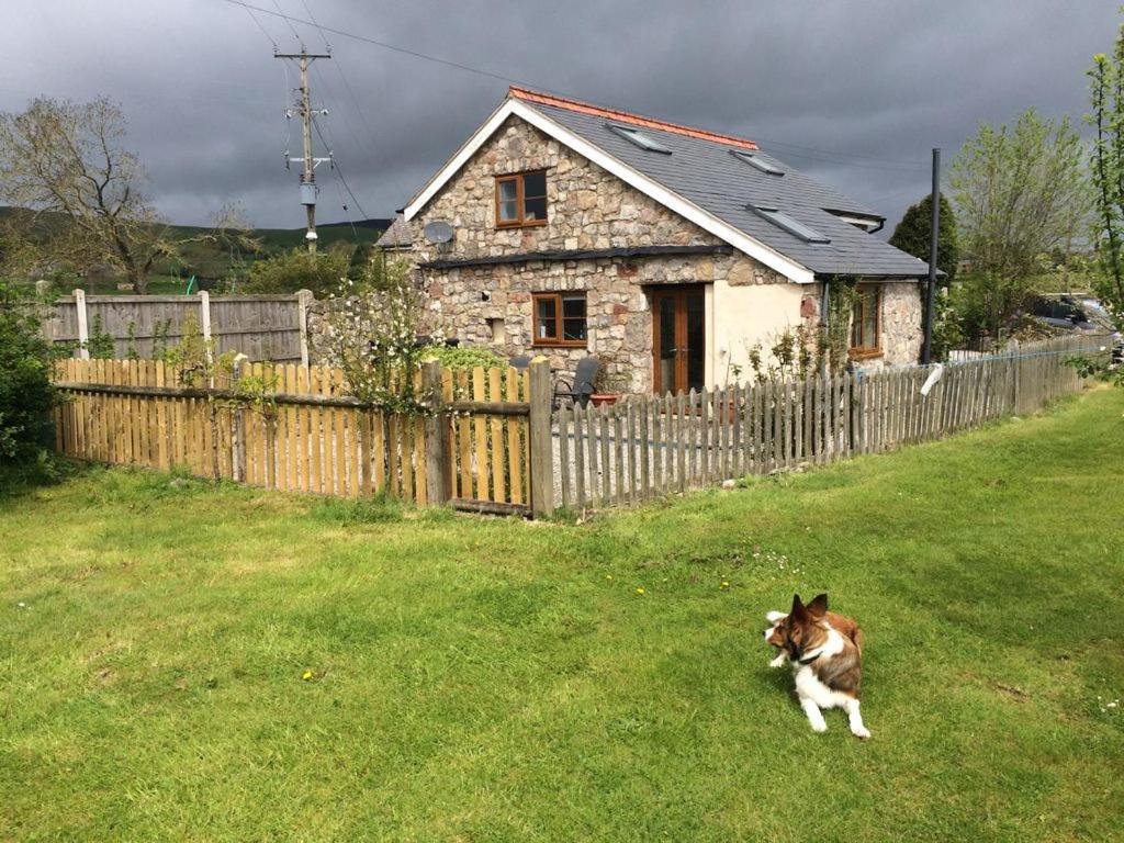 a dog running in the grass in front of a house at Ty Gylfinir in Llandegla