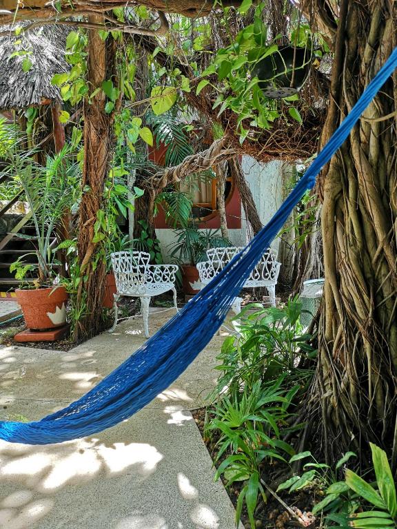 Um jardim em Eco-hotel El Rey del Caribe