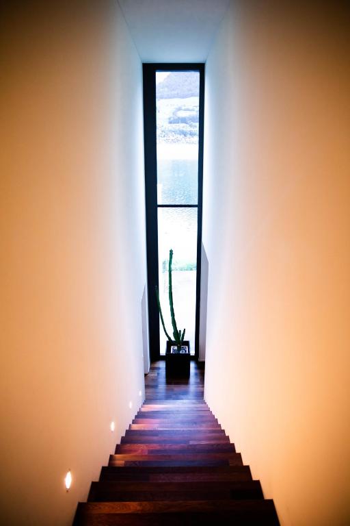 a stairway leading up to a window with a cactus at Luxury loft on top of Villa Wilen with tremendous views by the lake in Sarnen