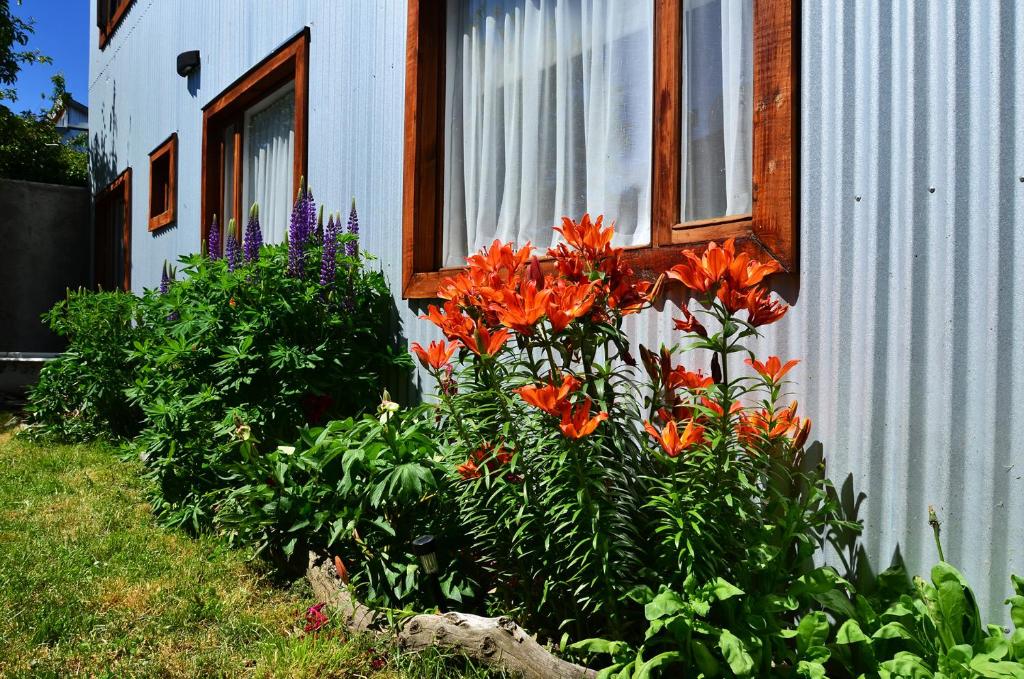 a garden with orange flowers in front of a house at El Patagónico Hostel in Puerto Natales
