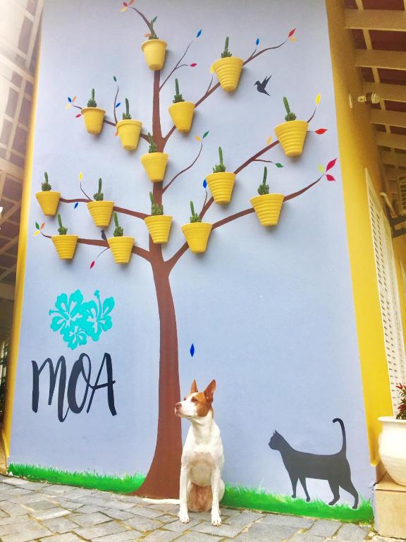  MOA Pousada