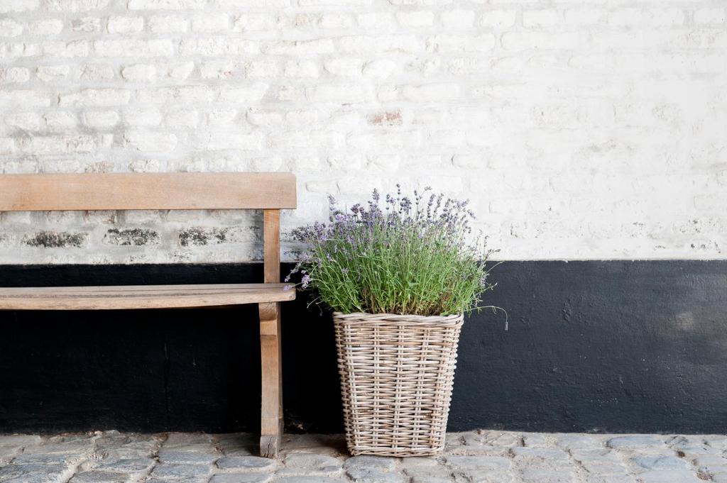 Fotografie z fotogalerie ubytování Cour 8 Lofts v destinaci Maastricht