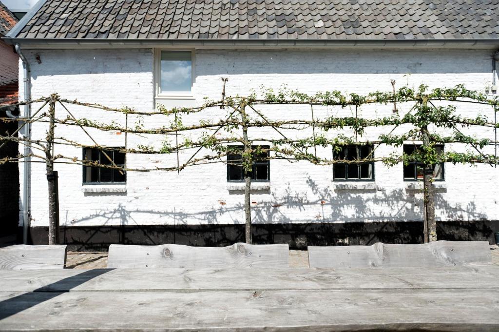 Zahrada ubytování Cour 8 Lofts