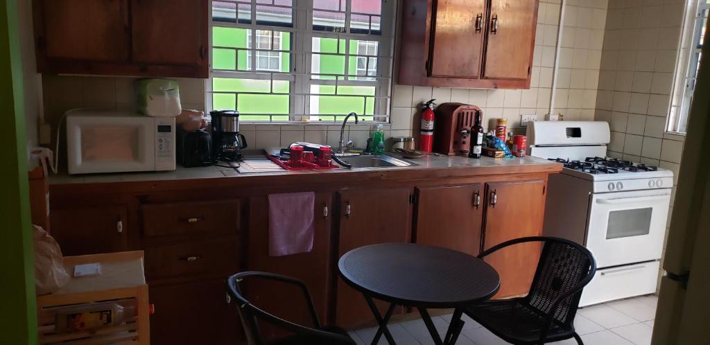 a kitchen with a table and a sink and a stove at Roseau City Center Apartment in Roseau