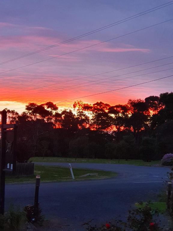 a sunset over a road with trees in the background at Chateau Bass in Bass