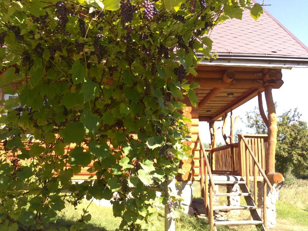 Likimo ratas - Casa De Dos Dormitorios