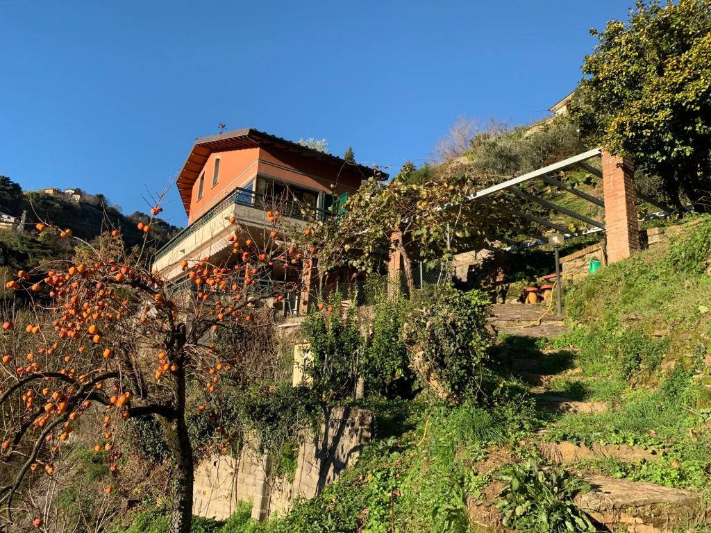 ein Haus an der Seite eines Hügels in der Unterkunft Villa Vigna in Montignoso
