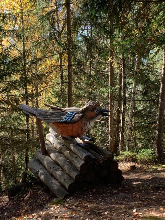 Příroda nedaleko apartmánu