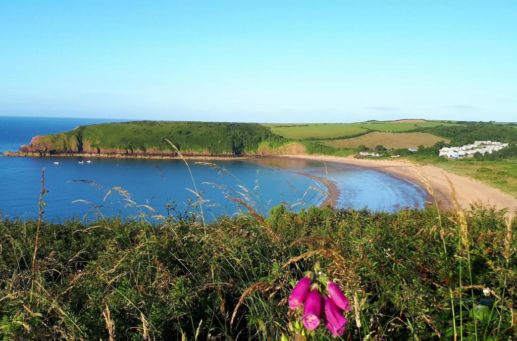 A Beach Holiday in Pembrokeshire - Housity