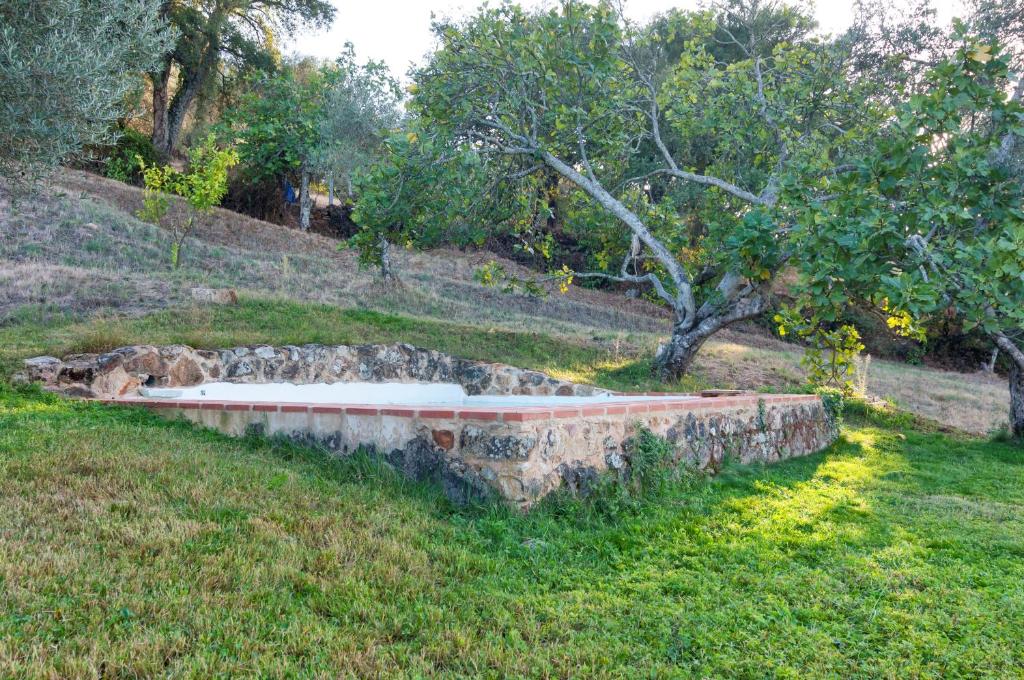 Zahrada ubytování Vivienda Rural Olivar del Chanza